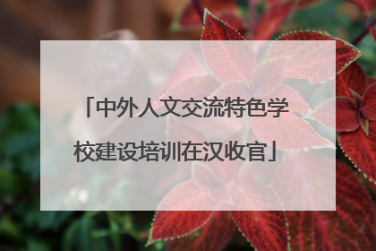 中外人文交流特色学校建设培训在汉收官
