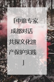 中意专家成都对话 共探文化遗产保护实践