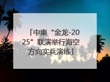 中柬“金龙-2025”联演举行海空方向实兵演练