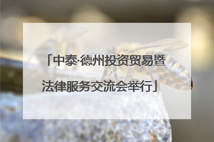 中泰·德州投资贸易暨法律服务交流会举行