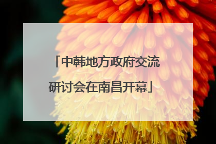 中韩地方政府交流研讨会在南昌开幕