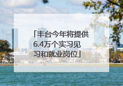 丰台今年将提供6.4万个实习见习和就业岗位