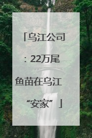乌江公司：22万尾鱼苗在乌江“安家”