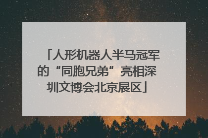人形机器人半马冠军的“同胞兄弟”亮相深圳文博会北京展区