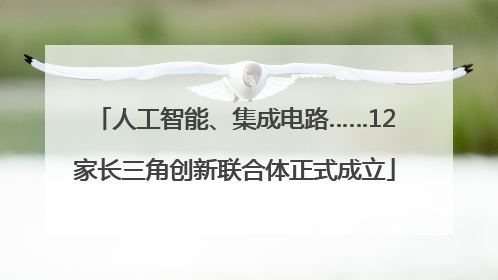 人工智能、集成电路……12家长三角创新联合体正式成立