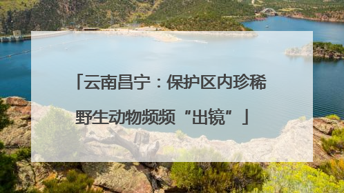 云南昌宁：保护区内珍稀野生动物频频“出镜”