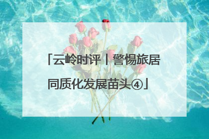 云岭时评丨警惕旅居同质化发展苗头④
