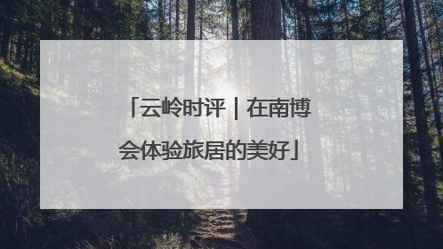 云岭时评｜在南博会体验旅居的美好