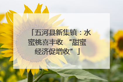 五河县新集镇：水蜜桃喜丰收 “甜蜜经济促增收”