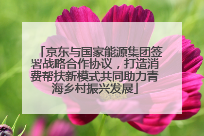 京东与国家能源集团签署战略合作协议，打造消费帮扶新模式共同助力青海乡村振兴发展