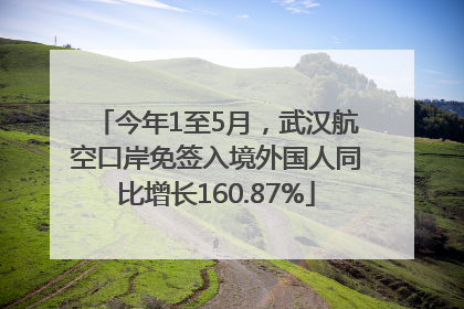 今年1至5月，武汉航空口岸免签入境外国人同比增长160.87%