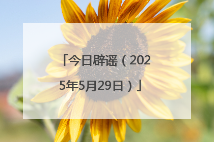 今日辟谣（2025年5月29日）