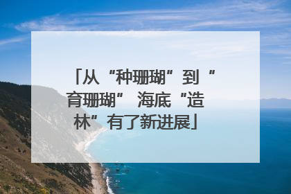 从“种珊瑚”到“育珊瑚” 海底“造林”有了新进展
