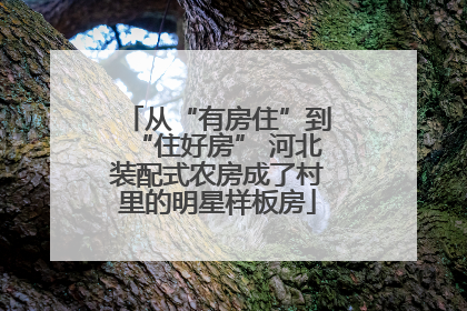 从“有房住”到“住好房” 河北装配式农房成了村里的明星样板房