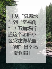 从“隐患地”到“幸福角”！五角场街道这个老旧小区党建微花园“靓”出幸福新图景
