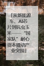 从新能源车、AI芯片到抗虫玉米——“国家队”耐心资本撬动产业突围