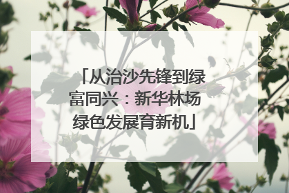 从治沙先锋到绿富同兴：新华林场绿色发展育新机