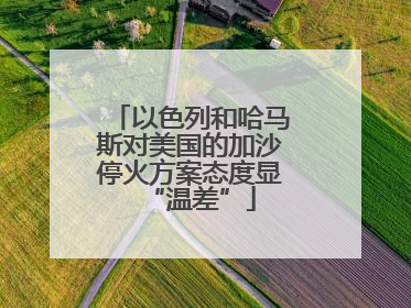 以色列和哈马斯对美国的加沙停火方案态度显“温差”