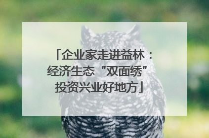 企业家走进益林：经济生态“双面绣” 投资兴业好地方