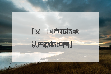 又一国宣布将承认巴勒斯坦国