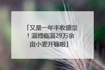 又是一年丰收盛景！淄博临淄29万余亩小麦开镰啦