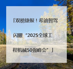 双榜捷报！希迪智驾闪耀“2025全球工程机械50强峰会”