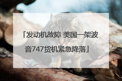 发动机故障 美国一架波音747货机紧急降落