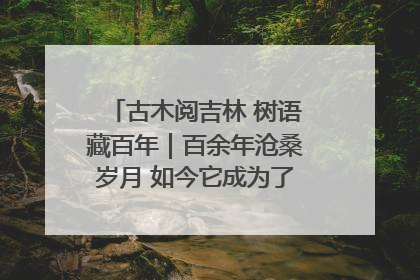 古木阅吉林 树语藏百年｜百余年沧桑岁月 如今它成为了“镇园之宝”
