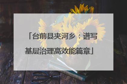 台前县夹河乡：谱写基层治理高效能篇章