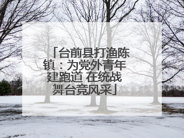 台前县打渔陈镇：为党外青年建跑道 在统战舞台竞风采