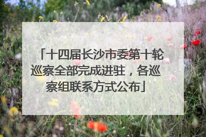 十四届长沙市委第十轮巡察全部完成进驻，各巡察组联系方式公布