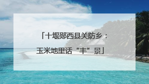 十堰郧西县关防乡：玉米地里话“丰”景