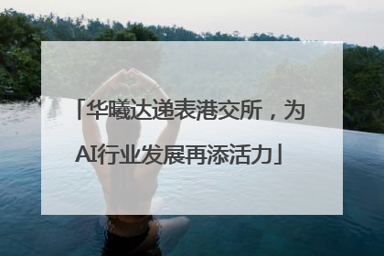 华曦达递表港交所，为AI行业发展再添活力