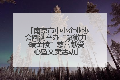 南京市中小企业协会圆满举办“聚微力·暖金陵”慈善献爱心暨义卖活动