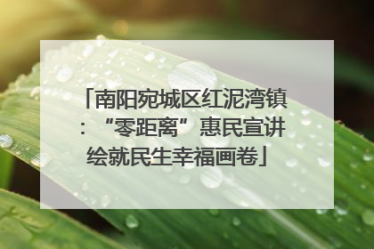 南阳宛城区红泥湾镇：“零距离”惠民宣讲 绘就民生幸福画卷