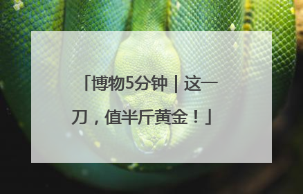 博物5分钟｜这一刀，值半斤黄金！