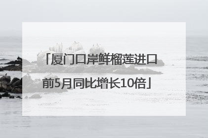 厦门口岸鲜榴莲进口 前5月同比增长10倍