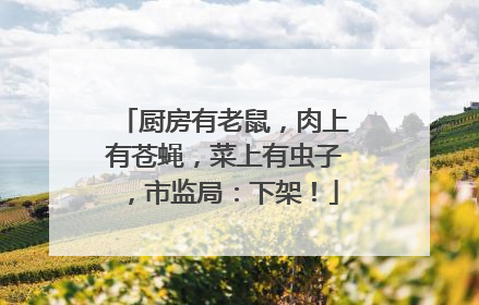 厨房有老鼠，肉上有苍蝇，菜上有虫子，市监局：下架！