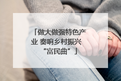 做大做强特色产业 奏响乡村振兴“富民曲”