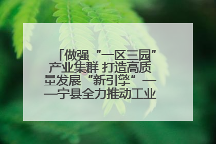 做强“一区三园”产业集群 打造高质量发展“新引擎”——宁县全力推动工业经济提质增效