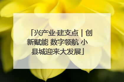 兴产业·建支点｜创新赋能 数字领航 小县城迎来大发展