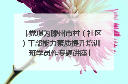 党琪为滕州市村（社区）干部能力素质提升培训班学员作专题讲座