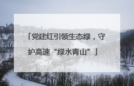 党建红引领生态绿，守护高速“绿水青山”