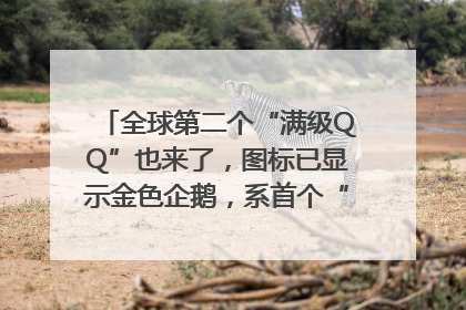 全球第二个“满级QQ”也来了，图标已显示金色企鹅，系首个“满级QQ”的小号
