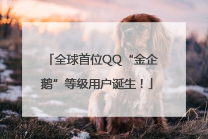 全球首位QQ“金企鹅”等级用户诞生！