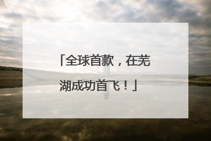 全球首款，在芜湖成功首飞！