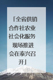 全省供销合作社农业社会化服务 现场推进会在泰兴召开