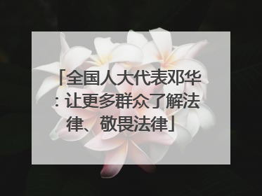 全国人大代表邓华：让更多群众了解法律、敬畏法律