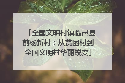 全国文明村镇临邑县前杨新村：从贫困村到全国文明村华丽蜕变
