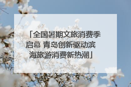 全国暑期文旅消费季启幕 青岛创新驱动滨海旅游消费新热潮